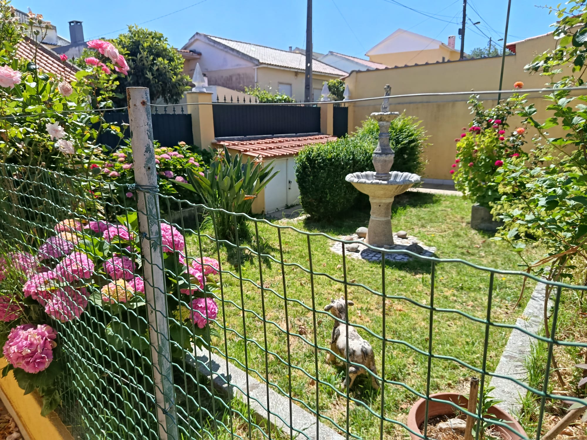 Jardim de moradia na Linha de Cascais